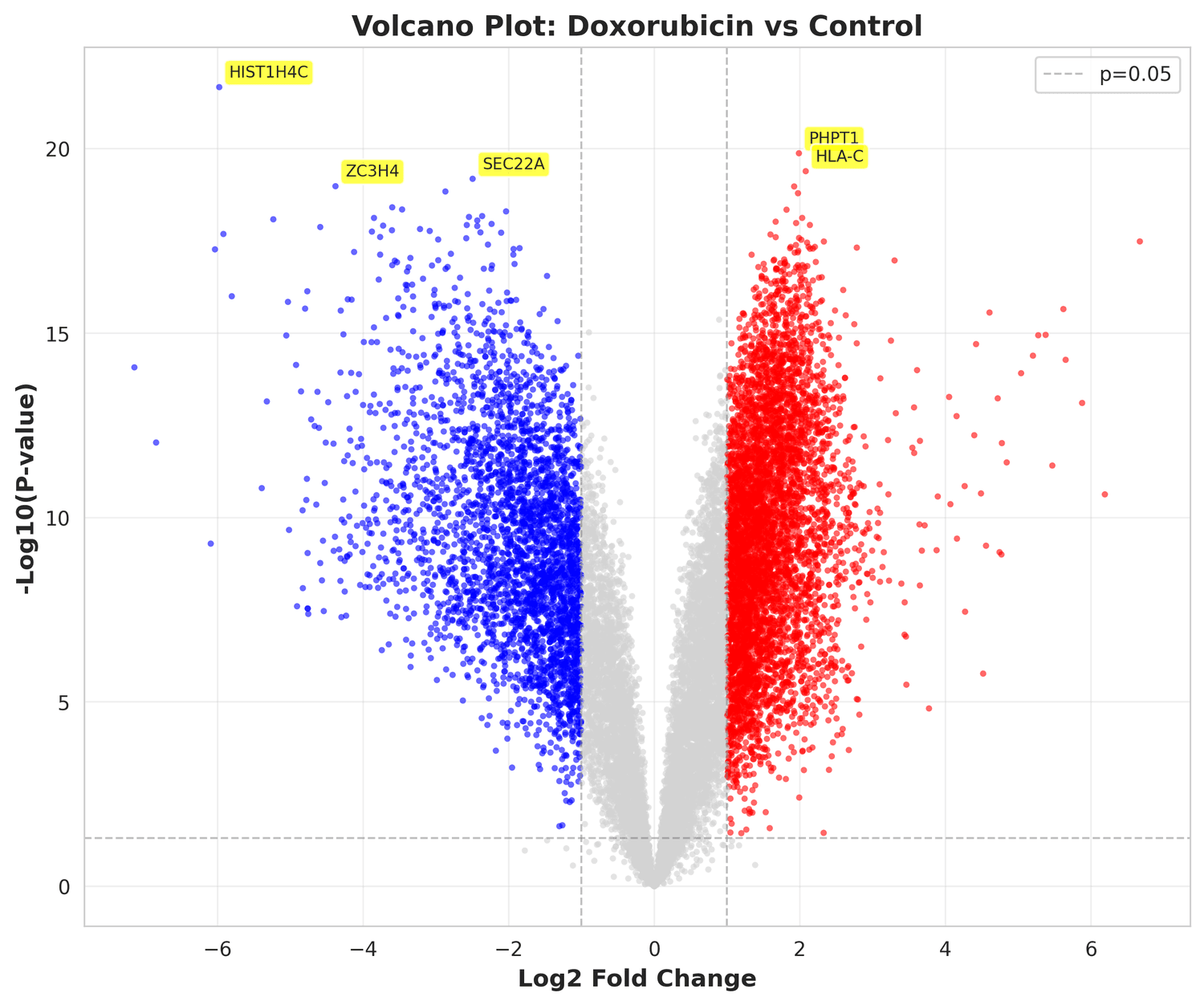 Doxorubicin Mechanism of Action