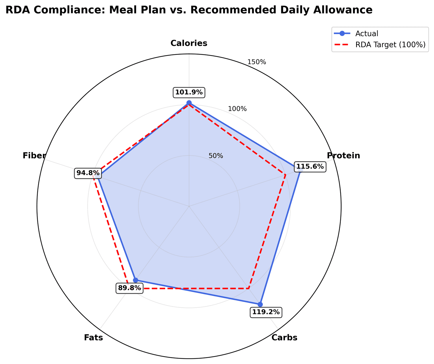 Indian Vegetarian Diet Optimization