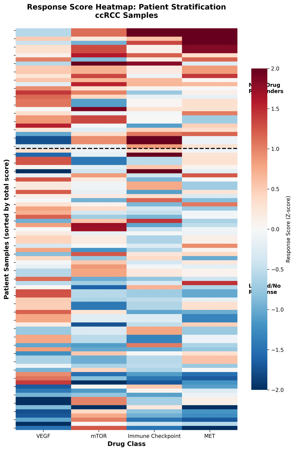 Renal Cancer Drug Response Stratification