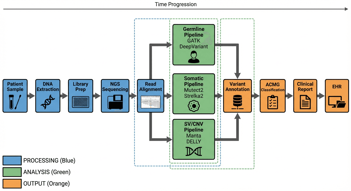 NGS Variant Callers in Clinical Practice