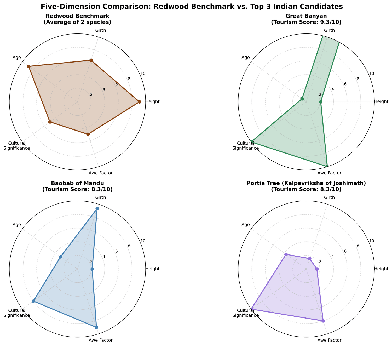 India Sacred Tree Tourism Strategy