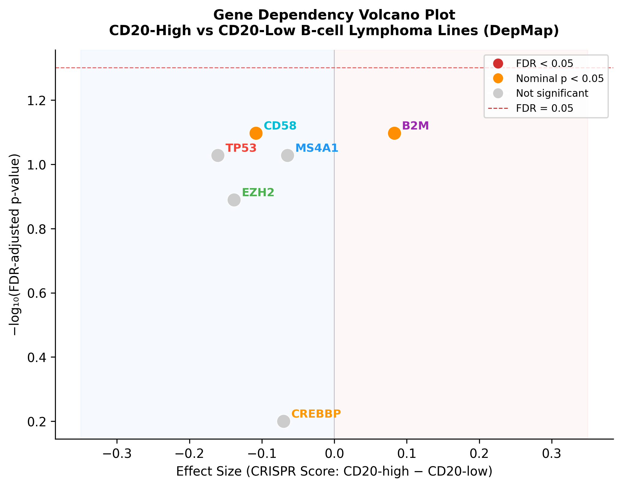 Volcano plot of CRISPR dependency differences between CD20-high and CD20-low B-cell lymphoma lines. No genes cross the FDR significance threshold.