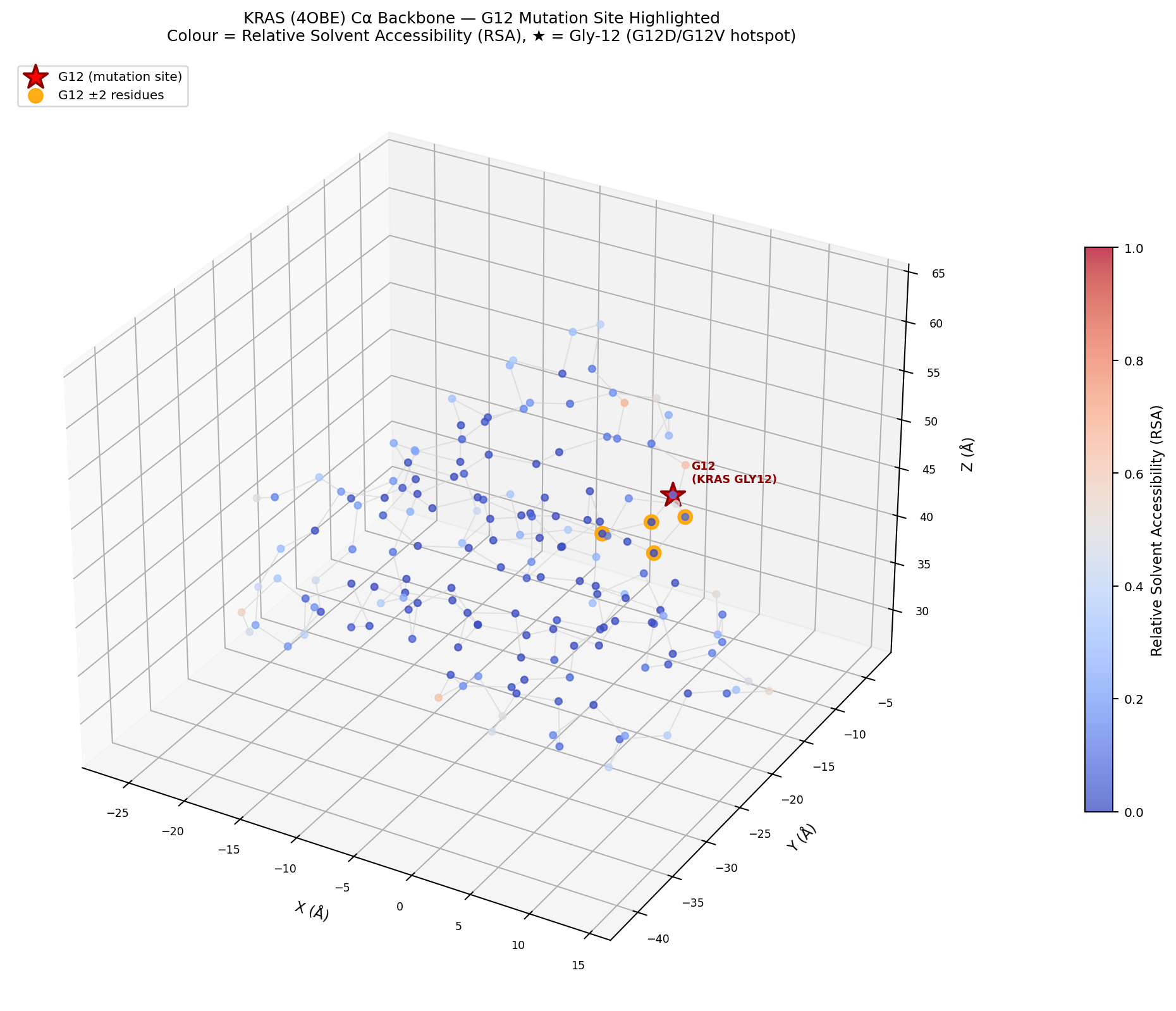 3D backbone projection of KRAS protein with residues colored by RSA and the G12 mutation site highlighted with a red star.