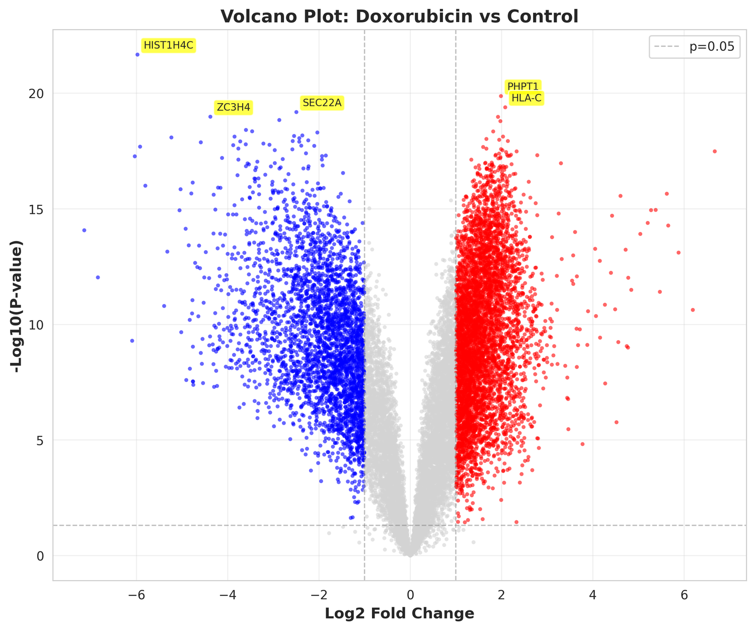 Doxorubicin Mechanism of Action